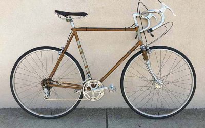 Raleigh Professional MKII Restorations
